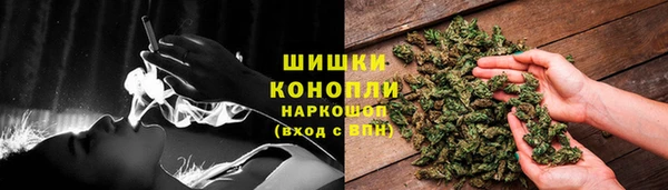 ПСИЛОЦИБИНОВЫЕ ГРИБЫ Алексин