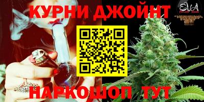 прущая мука Пугачёв